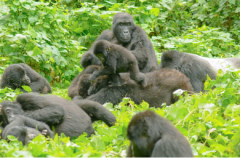 Screenshot-2025-09-24-150539