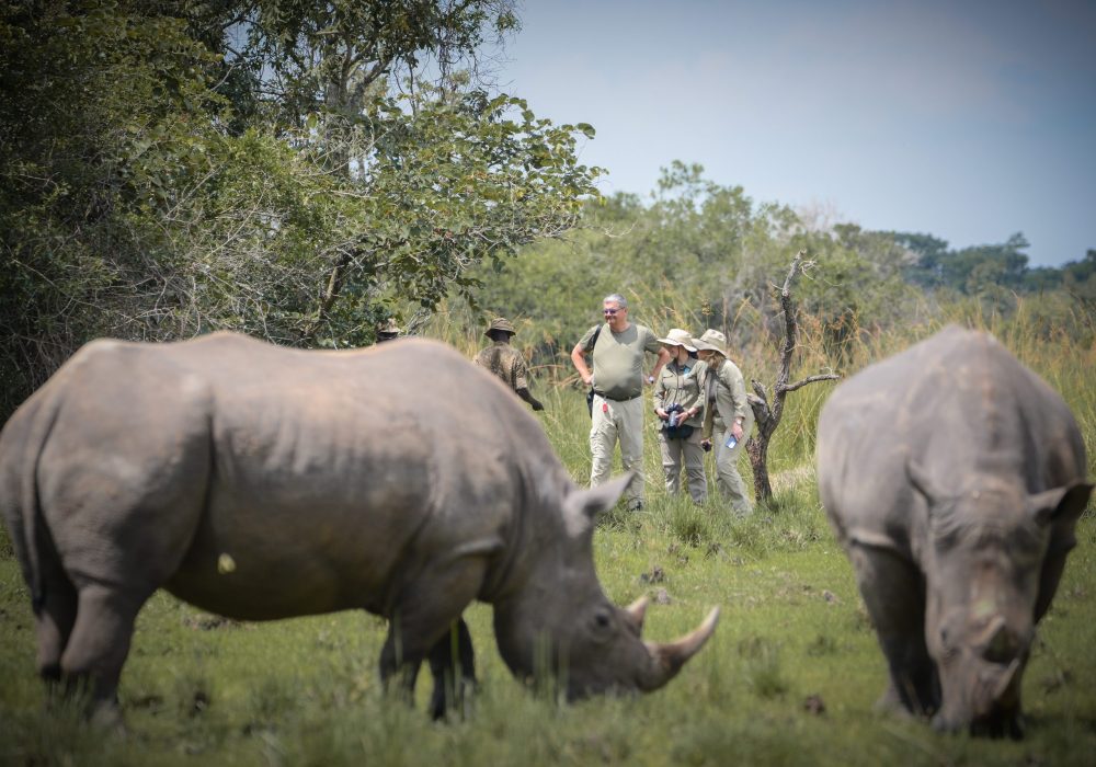 Ziwa-Rhino-Sanctuary-scaled
