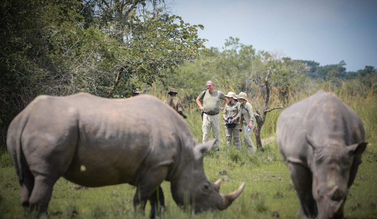 Ziwa-Rhino-Sanctuary-scaled